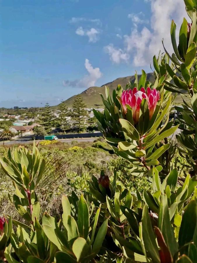 Ocean And Mountain Breeze Villa Hermanus Exterior photo